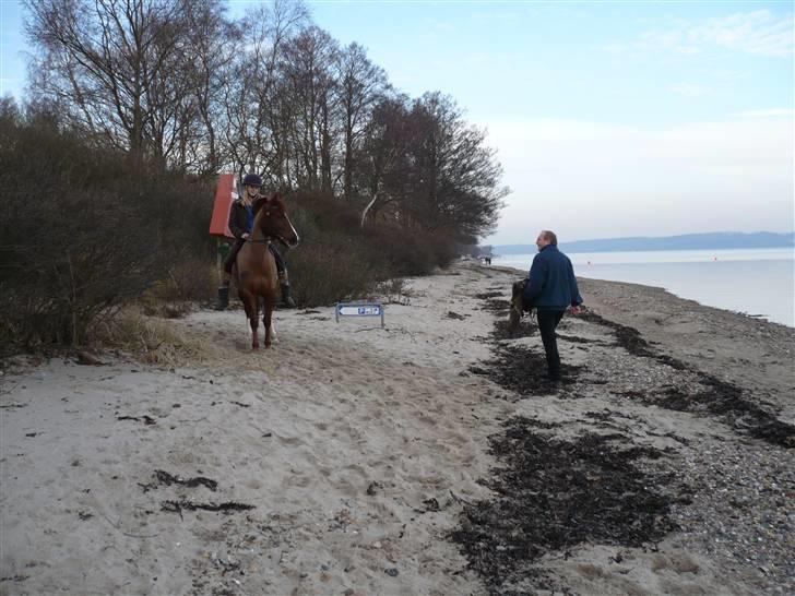 Weekend hos Frede :) billede 53