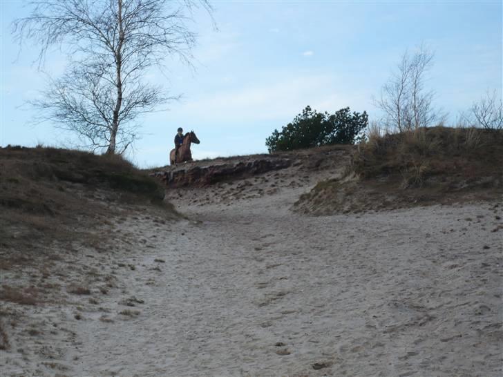 Weekend hos Frede :) billede 54