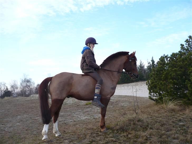 Weekend hos Frede :) billede 55