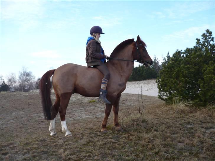 Weekend hos Frede :) billede 56