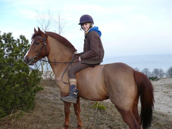 Weekend hos Frede :) billede 57