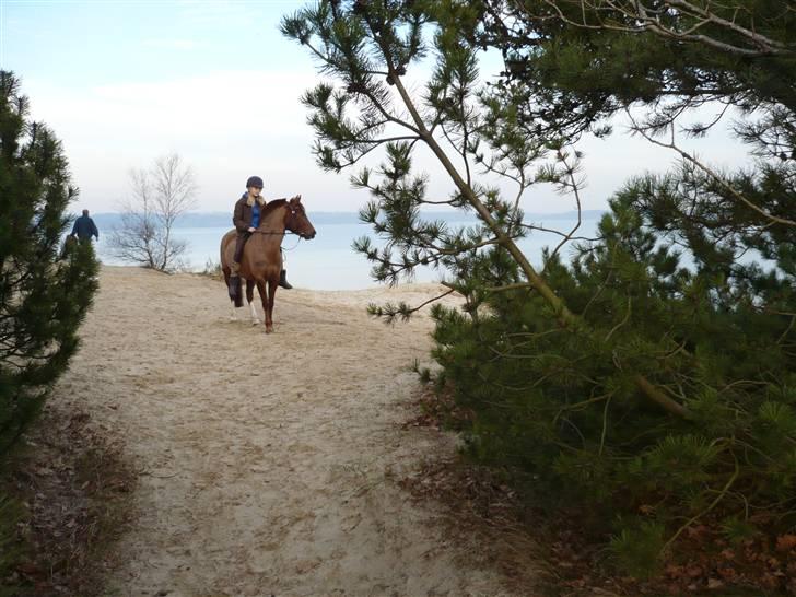 Weekend hos Frede :) billede 58