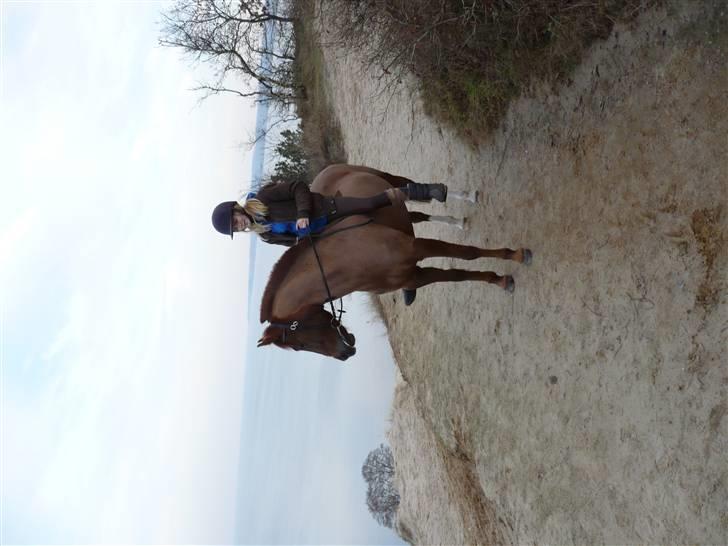 Weekend hos Frede :) billede 59