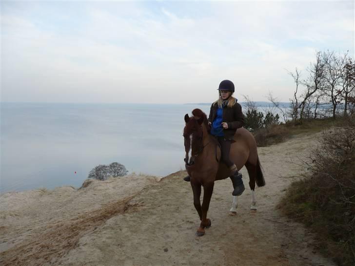 Weekend hos Frede :) billede 60