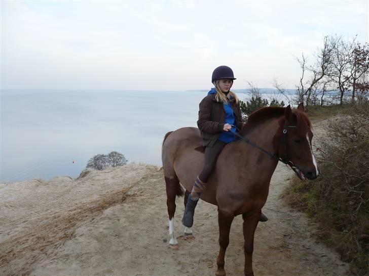 Weekend hos Frede :) billede 61