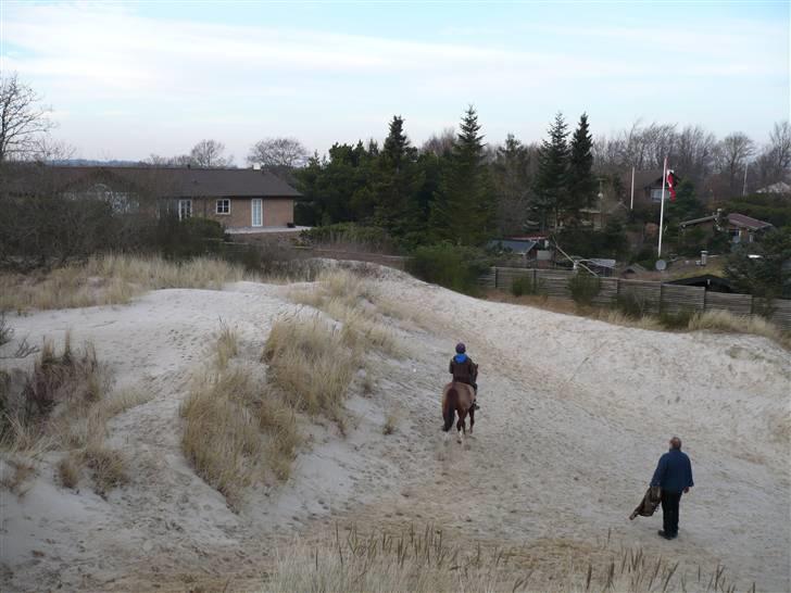 Weekend hos Frede :) billede 62