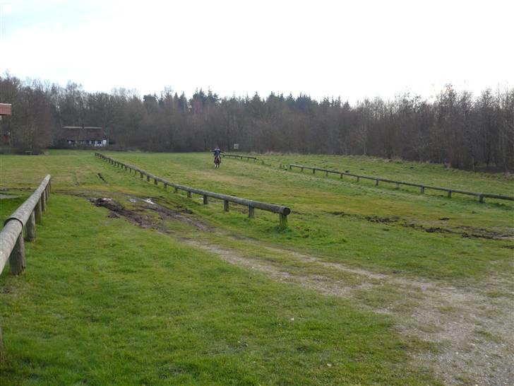 Weekend hos Frede :) billede 63