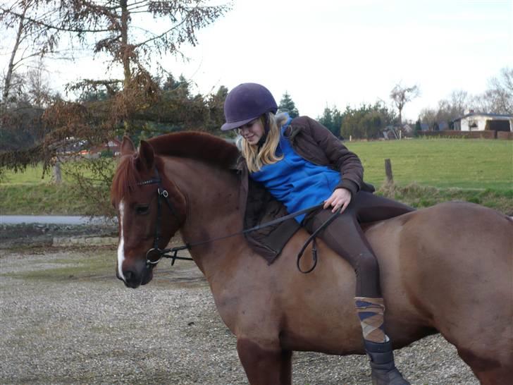 Weekend hos Frede :) billede 64