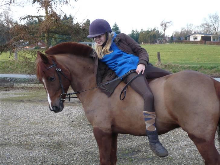 Weekend hos Frede :) billede 65