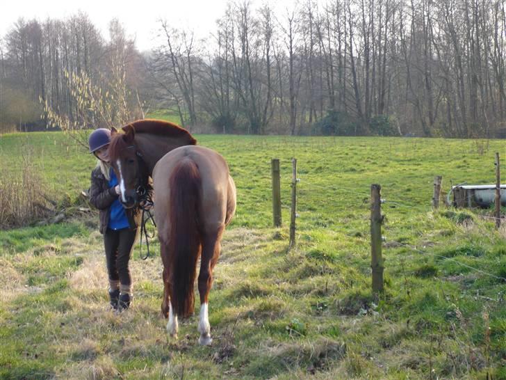 Weekend hos Frede :) billede 66