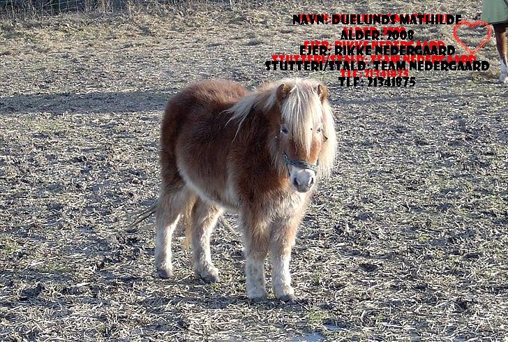 Billeder jeg har lavet  billede 39