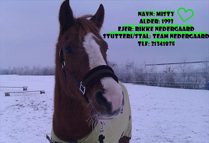 Billeder jeg har lavet  billede 40