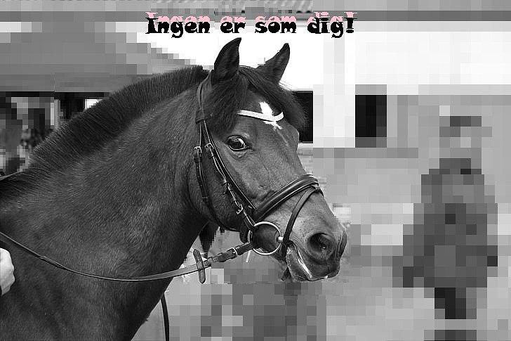 Billeder jeg har lavet  billede 41