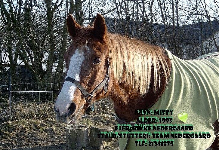 Billeder jeg har lavet  billede 42