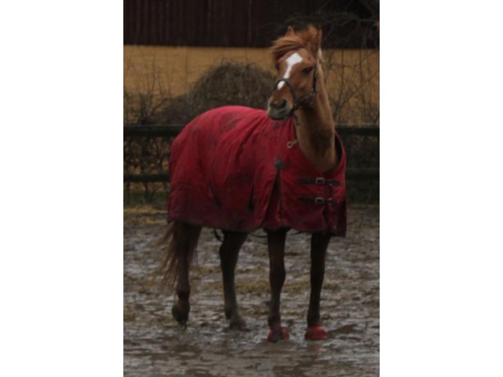 {{currentPhoto.altText}} billede {{currentPhoto.number}}