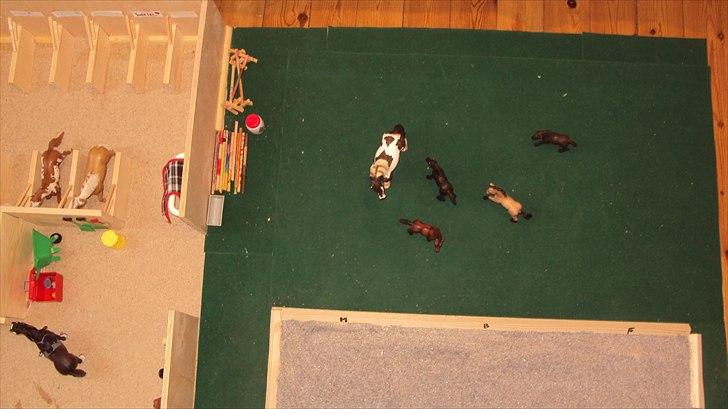 Min Schleich stald - Springbane og fold billede 4