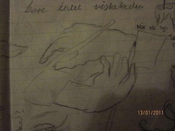 Mine tegninger, og min kanin xD - Taget fra min dagbog i: billede 1