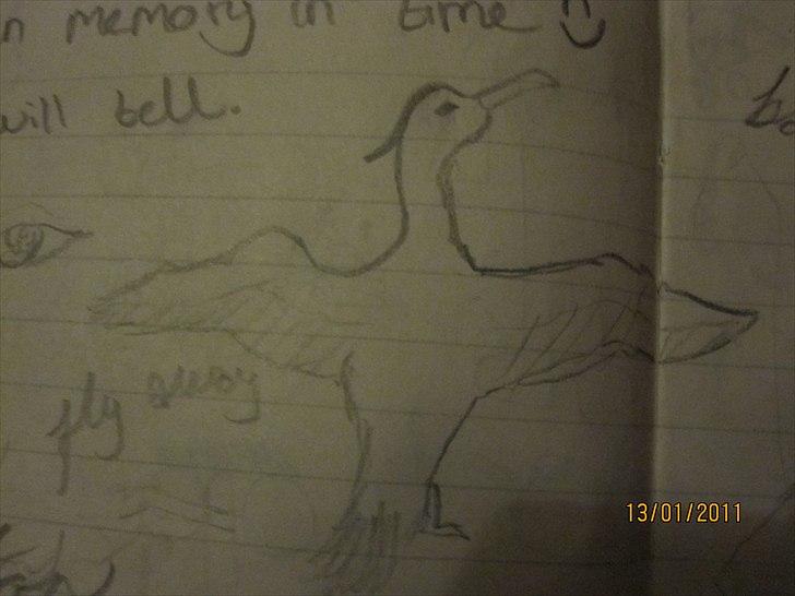 Mine tegninger, og min kanin xD - Dagbog. billede 2