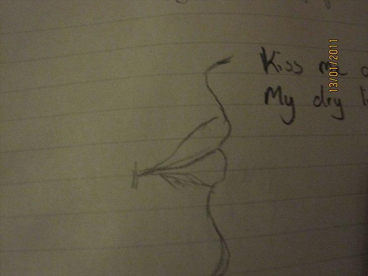 Mine tegninger, og min kanin xD - Dagbog. billede 5