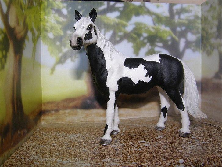 Mine Schleich Dyr - Navn: AngelaRace: Pinto Køn: Hoppe Alder: 10 år billede 113