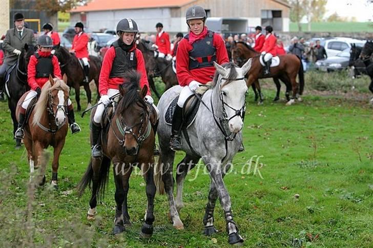 Holder rigtig meget af jer <3 - Lea og jeg, Sally i baggrunden :D billede 9