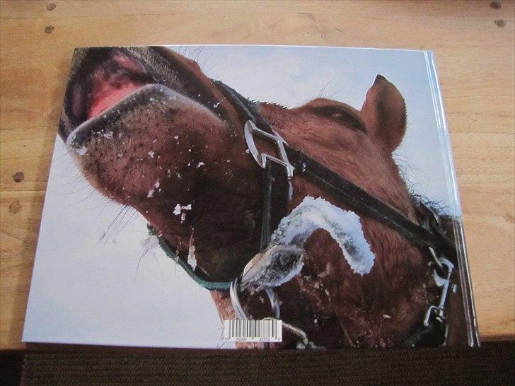 Seje ting!:D - Copyright©emilie&momrik
 billede 7