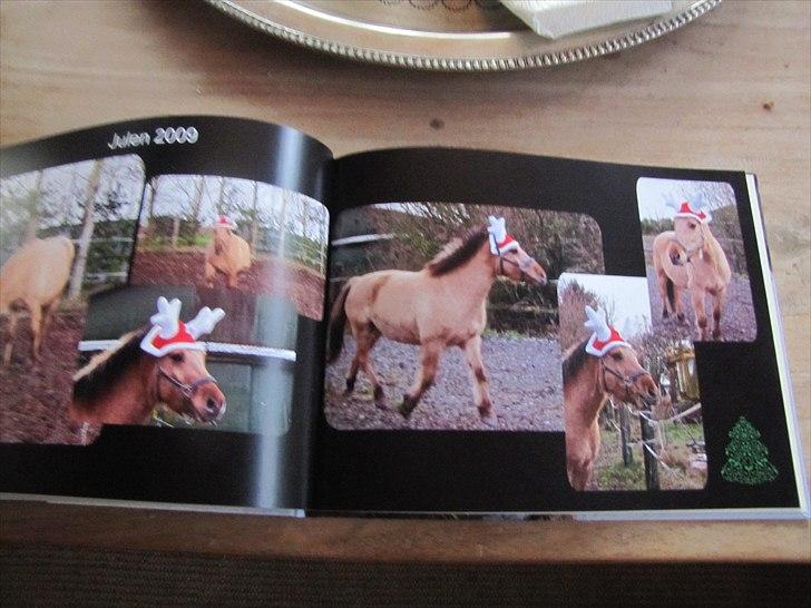 Seje ting!:D - Copyright©emilie&momrik
 billede 5