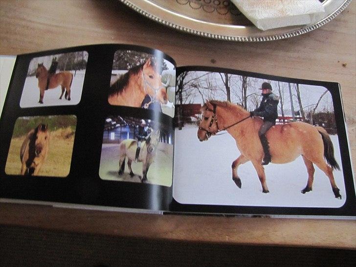 Seje ting!:D - Copyright©emilie&momrik
 billede 4