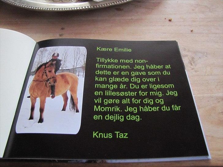 Seje ting!:D - Copyright©emilie&momrik
 billede 3