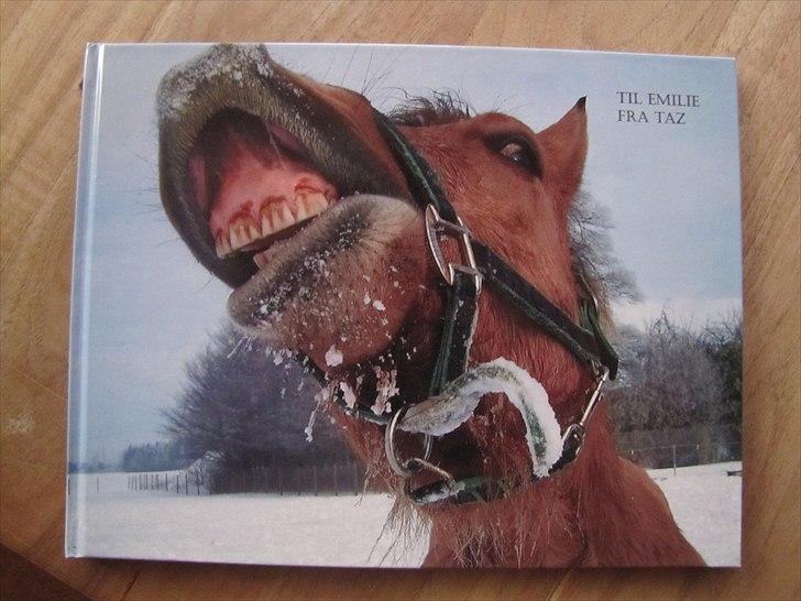 Seje ting!:D - Min seje Momrik bog som jeg fik af Taz i non-firmations gave(': 
Elsker den!<3
Copyright©emilie&momrik
 billede 1