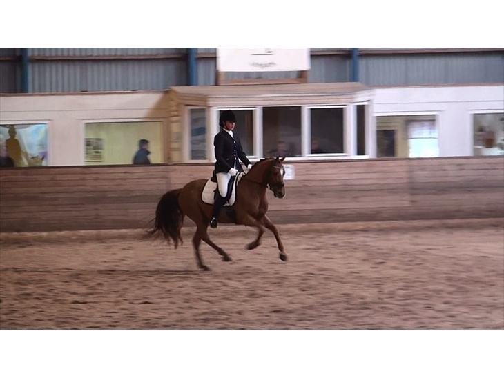 {{currentPhoto.altText}} billede {{currentPhoto.number}}