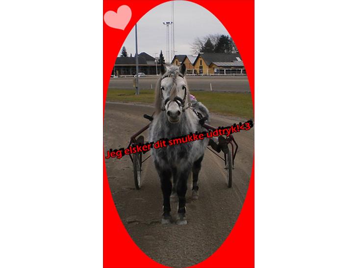 {{currentPhoto.altText}} billede {{currentPhoto.number}}