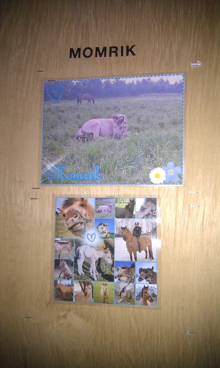Seje ting!:D - Hihi, Momrik's skab på gården(;
Copyright©emilie&momrik
 billede 12
