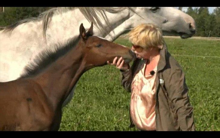 Dyrenes helte - quantico billede 4