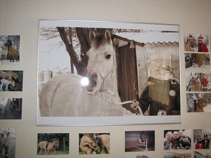 Seje ting!:D - Min seje Momrik plakat i ramme, fik den af Taz i fødselsdagsgave:D
Copyright©emilie&momrik
 billede 15