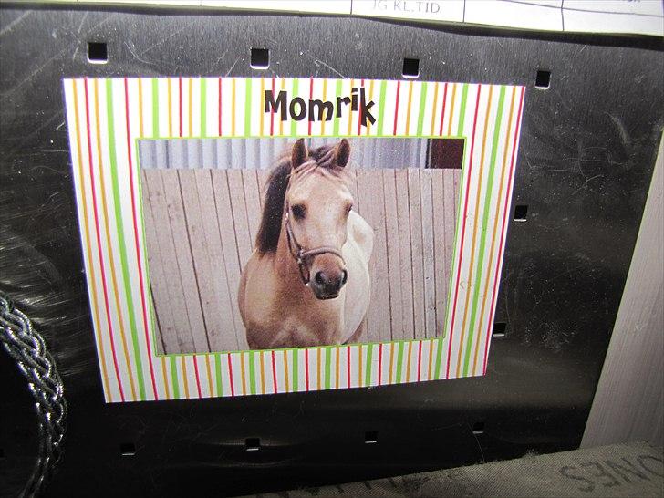 Seje ting!:D - Min sejeste Momrik magnet, som jeg har fået af taz:D
Copyright©emilie&momrik
 billede 20