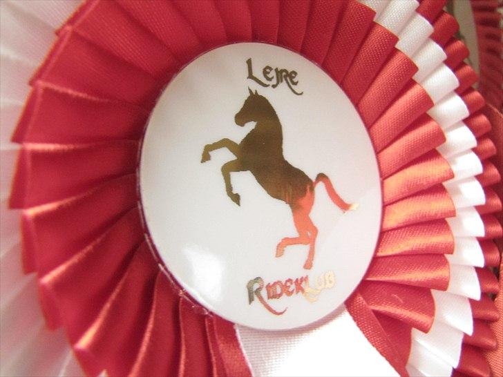 Seje ting!:D - LEJRE RIDEKLUB - Bare lige den bedste rideklub, med de bedste mennesker!<3
Copyright©emilie&momrik
 billede 22