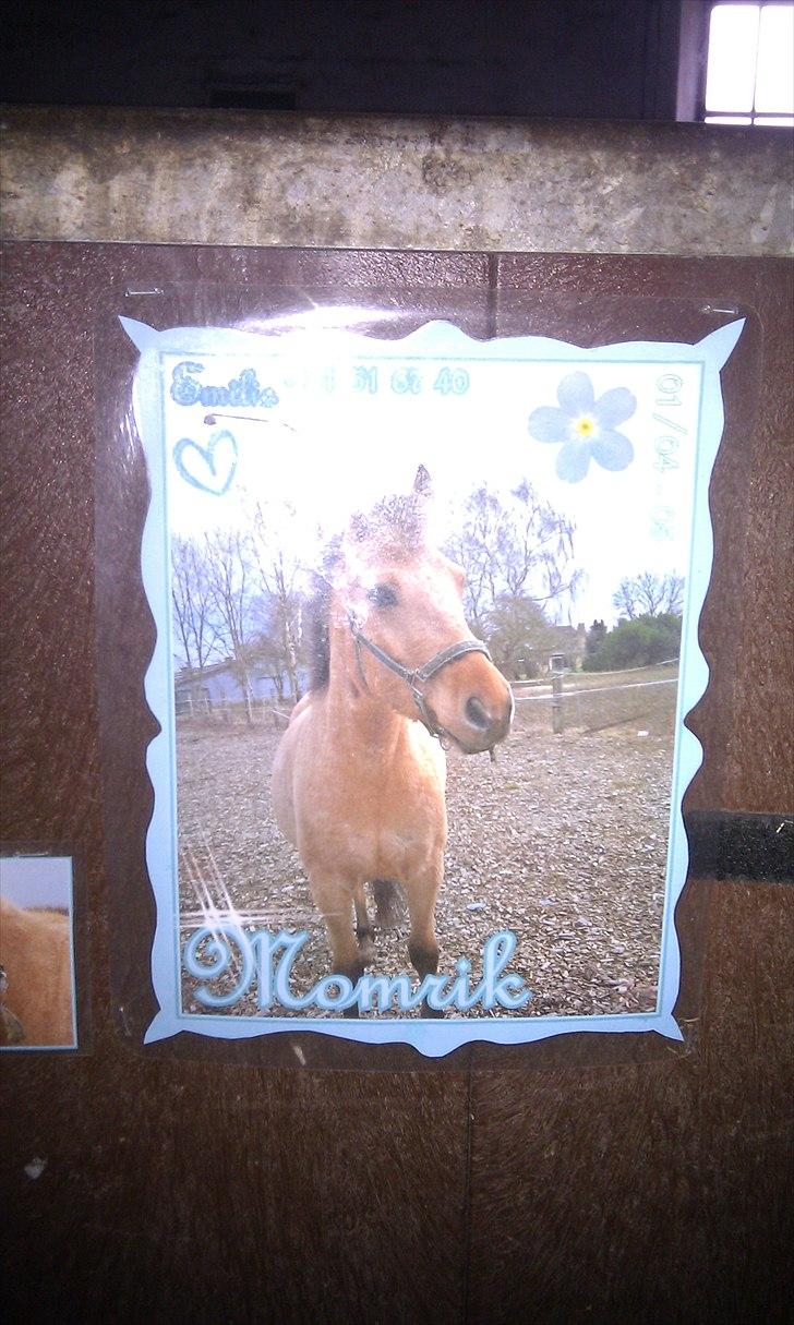 Seje ting!:D - Hjemmelavet navneskrilt til Momrik's boks(: <3
Copyright©emilie&momrik
 billede 23