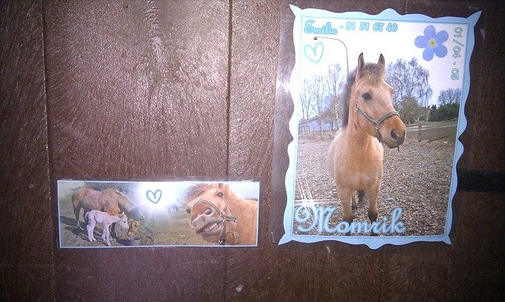 Seje ting!:D - Copyright©emilie&momrik
 billede 24