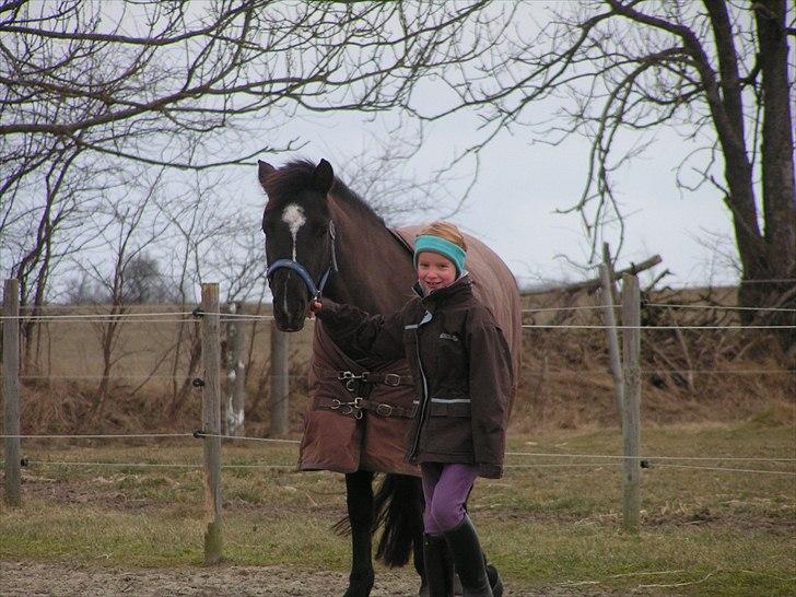 Vild kamille - Vild Kamillle og lillesøster Emme billede 1