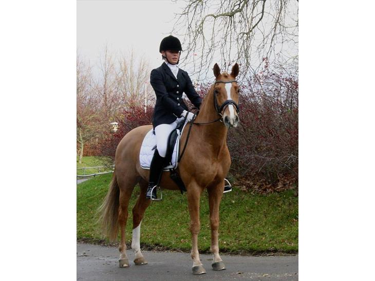 {{currentPhoto.altText}} billede {{currentPhoto.number}}