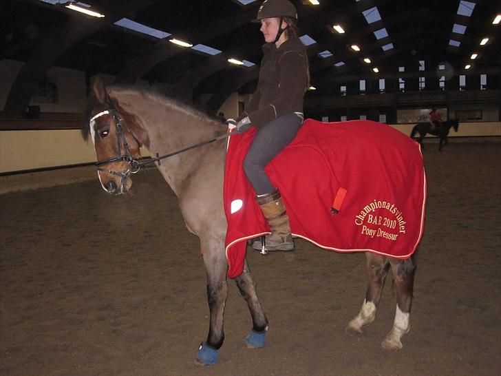 Billeder til andre :D  billede 2
