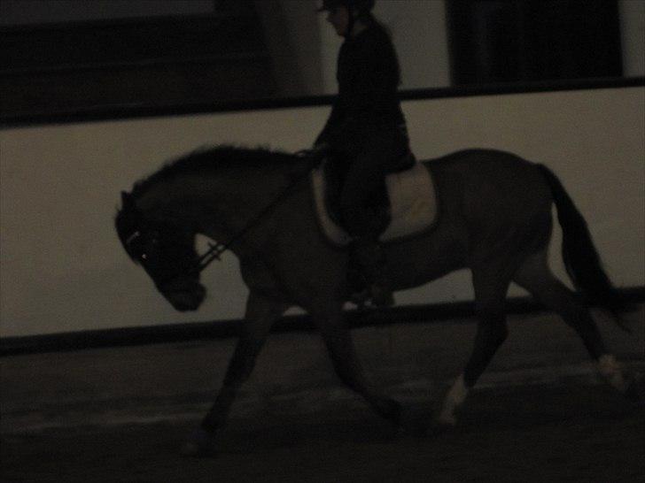 Billeder til andre :D  billede 6