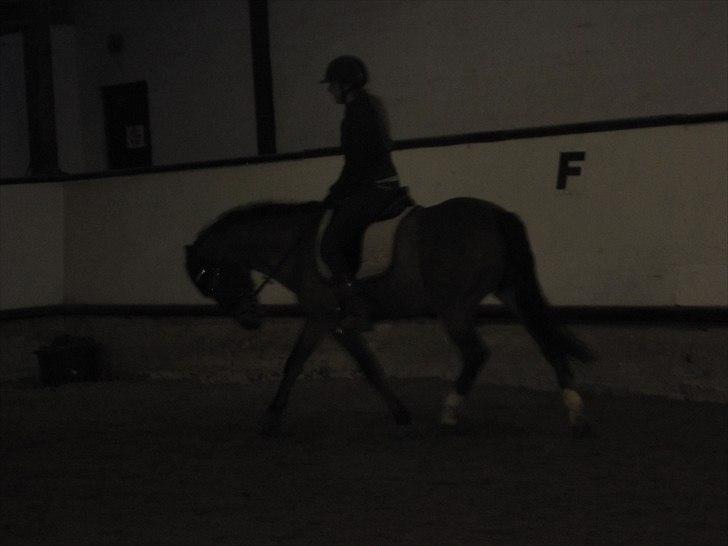 Billeder til andre :D  billede 7