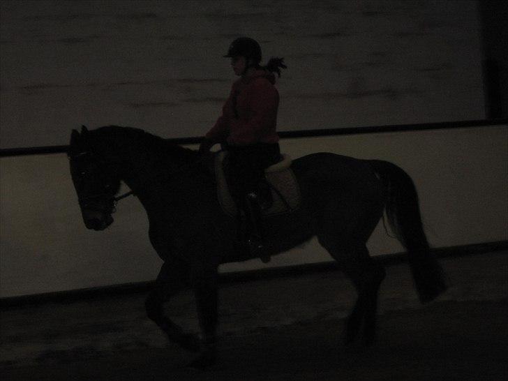 Billeder til andre :D  billede 9