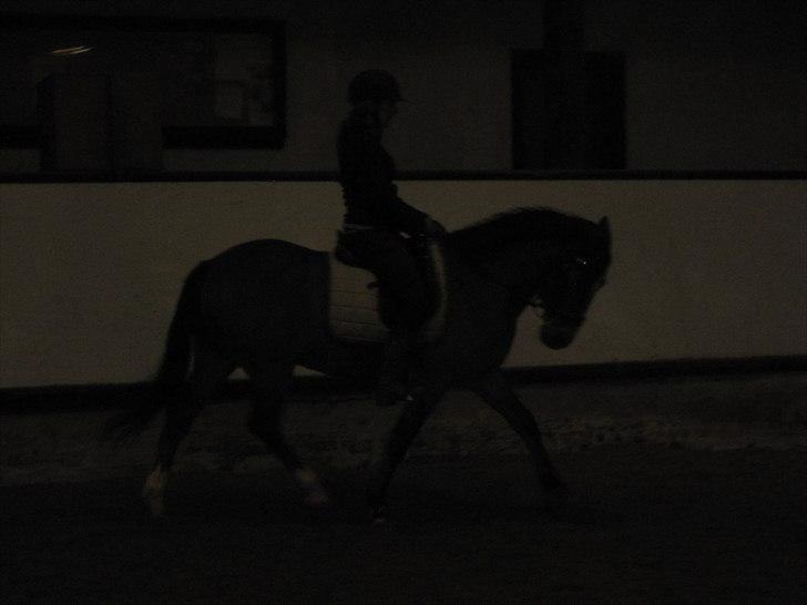 Billeder til andre :D  billede 13