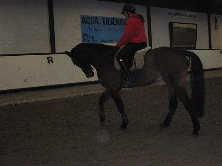 Billeder til andre :D  billede 14