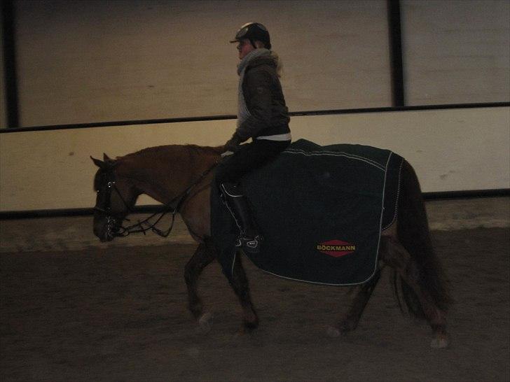 Billeder til andre :D  billede 16