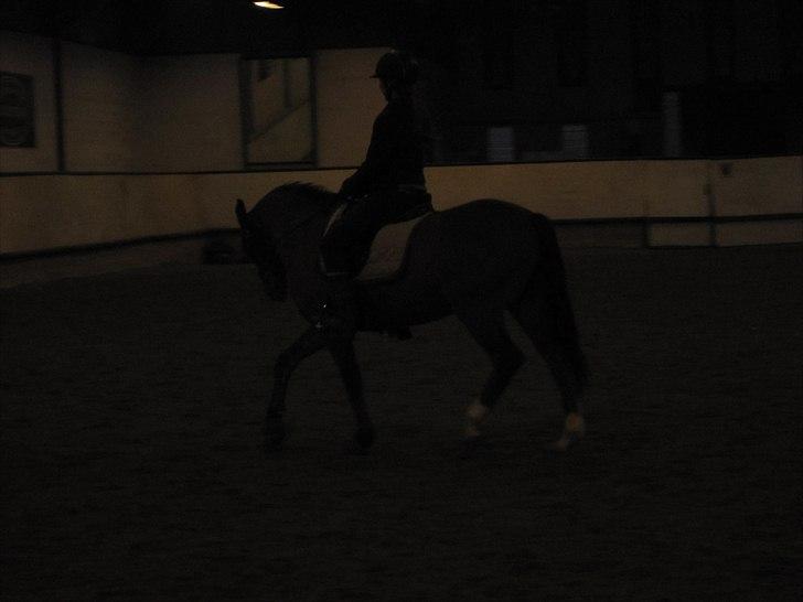 Billeder til andre :D  billede 17