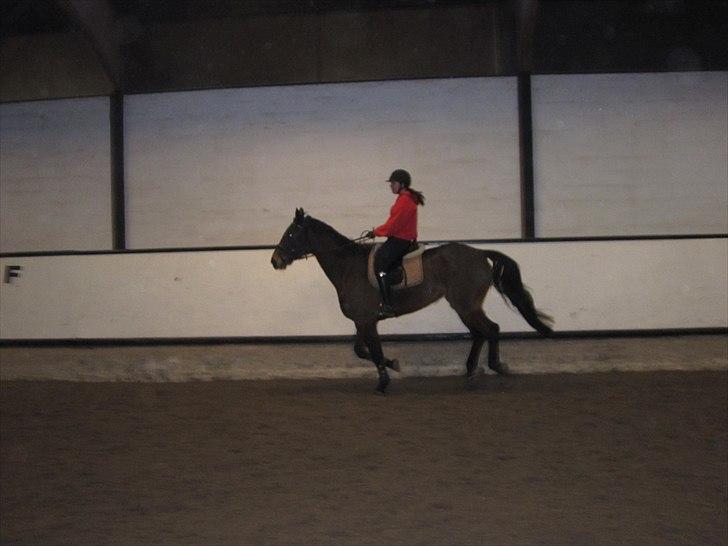 Billeder til andre :D  billede 20